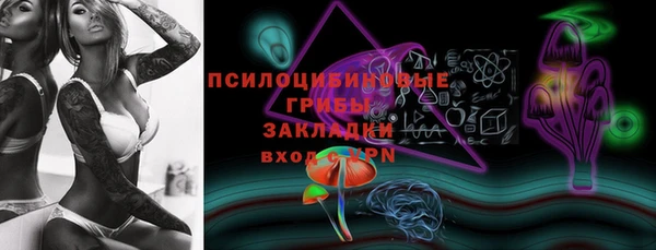 шишки Нягань