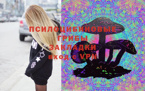 spice Няндома