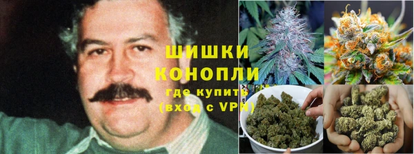 шишки Нягань