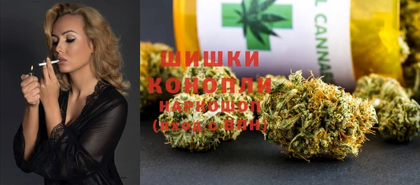 шишки Нягань