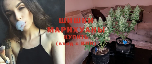 spice Няндома