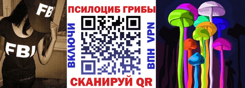 как найти   Туринск  Псилоцибиновые грибы Cubensis 