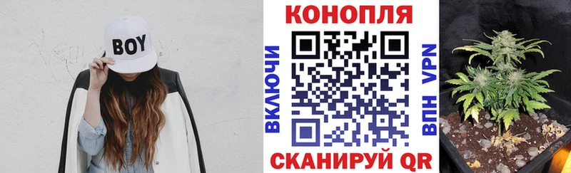 Марихуана планчик где купить наркоту Туринск
